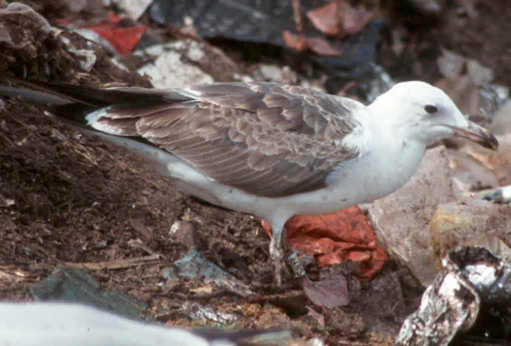 1002x670 pixels (40K)