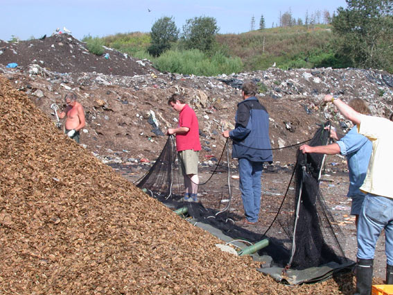 545x402 pixels (95K)