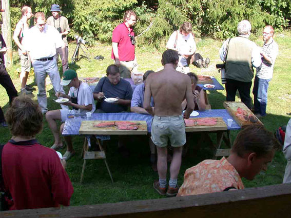 545x402 pixels (75K)