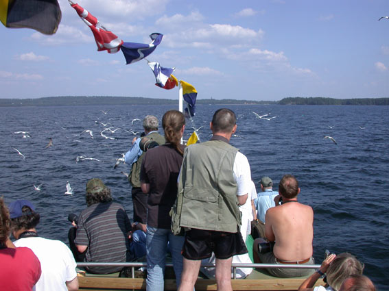 545x402 pixels (53K)