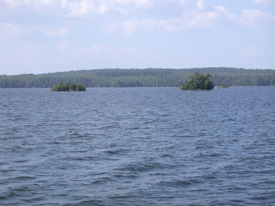 545x402 pixels (42K)