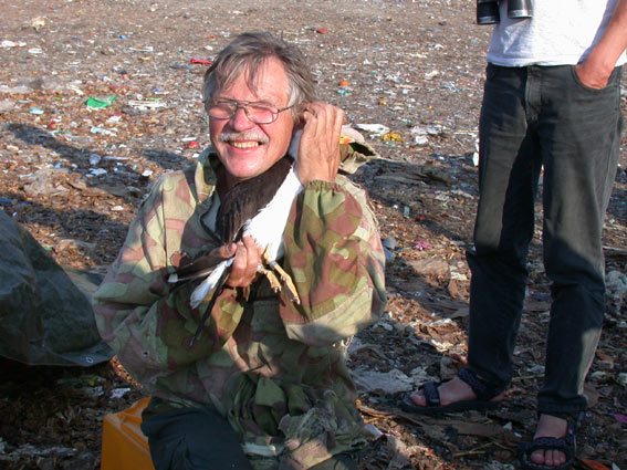 545x402 pixels (76K)